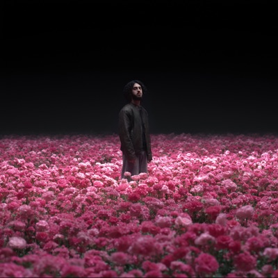 твоя красота - Single