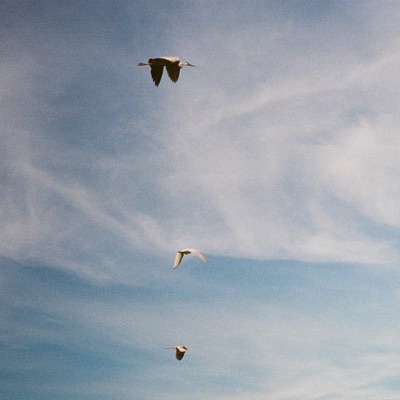 the grog (feat. Matt Gedrych, Daniel Kemshell & Arthur Newell) - Single