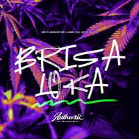 Brisa Loka (feat. MC Luiggi) - Single - Dj Jota da ZN & MC Flavinho