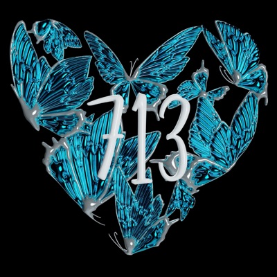 713 - Single