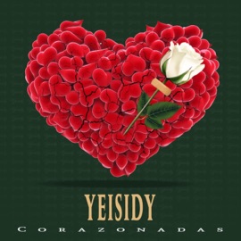 Se Que Fallé Yeisidy