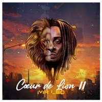 Cœur de Lion II - Mr Leo