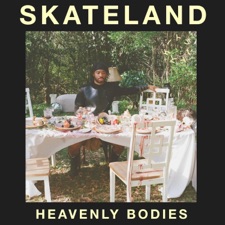 SKATELAND - 2025/Forever