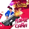 FLOR DE CAÑA