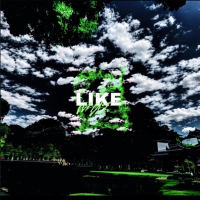 Like What (feat. 2TxneA.P. & NHG HONCHO) - Single