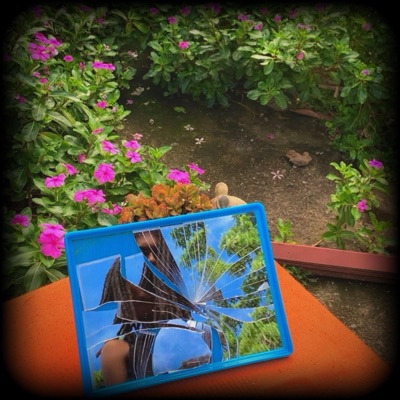 Slowdown / Mangrove - Single