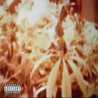 Treat You Cruel - Single - Minddrought