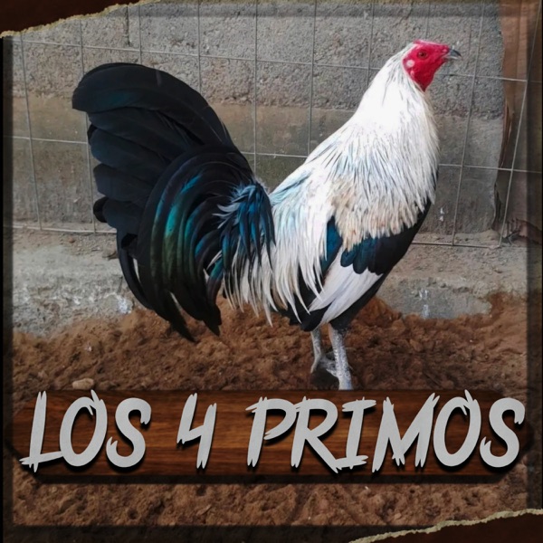 Los 4 primos