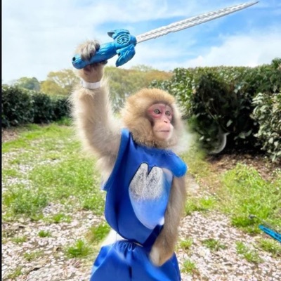 Lock N Drop - Single