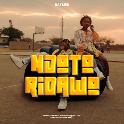 Ndotoridawo - Single