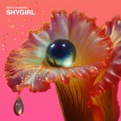 fabric presents Shygirl (DJ Mix) artwork