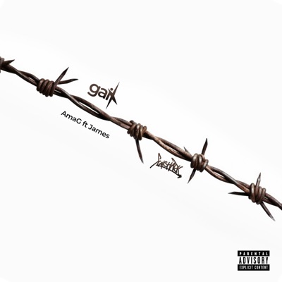 GAI (feat. AmaG) - Single
