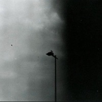 Primitive Zeiten - Single - NTS & Nepomukk