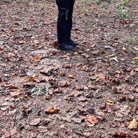 Rot - Single - ANXIOUSPANIC