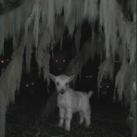 gated - EP - 1heyyrhyn