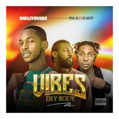 vibe e dey body (feat. Posh BLJ & Dj nasty) - Single