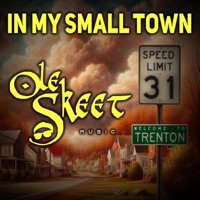 In My Small Town - Single - Ole Skeet