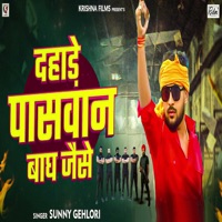 Dahade Paswan Bagh Jaise - Single - Sunny Gehlori