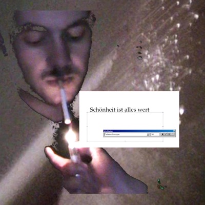 Schönheit ist alles wert - Single