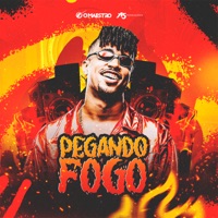 Pegando Fogo: Tudo Que É Bom Começa Com P / E Aí, Chupa Toda / Pegando Fogo / Desliza - Single - O Maestro