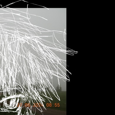 never been one to cry (feat. alyx trick) - Single