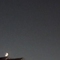 until now - Single - hushfall & Rosa Moln