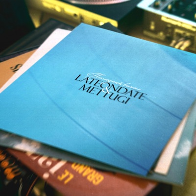 Последний винил (feat. Mettugi) - Single