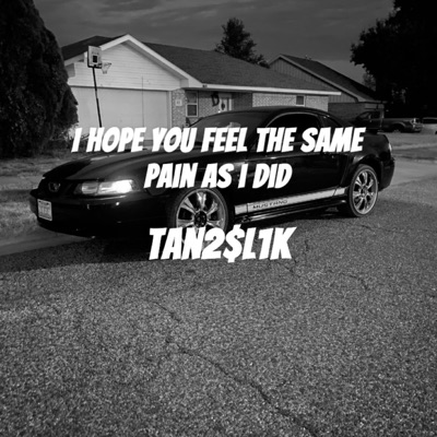I Hope You Feel The Same Pain As I Did - Single
