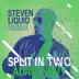 Split In Two (Steven Liquid Remix) - Single album cover