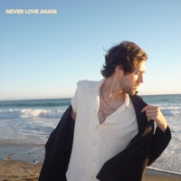 Never Love Again - Single - Greg Shilling