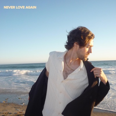 Never Love Again - Single