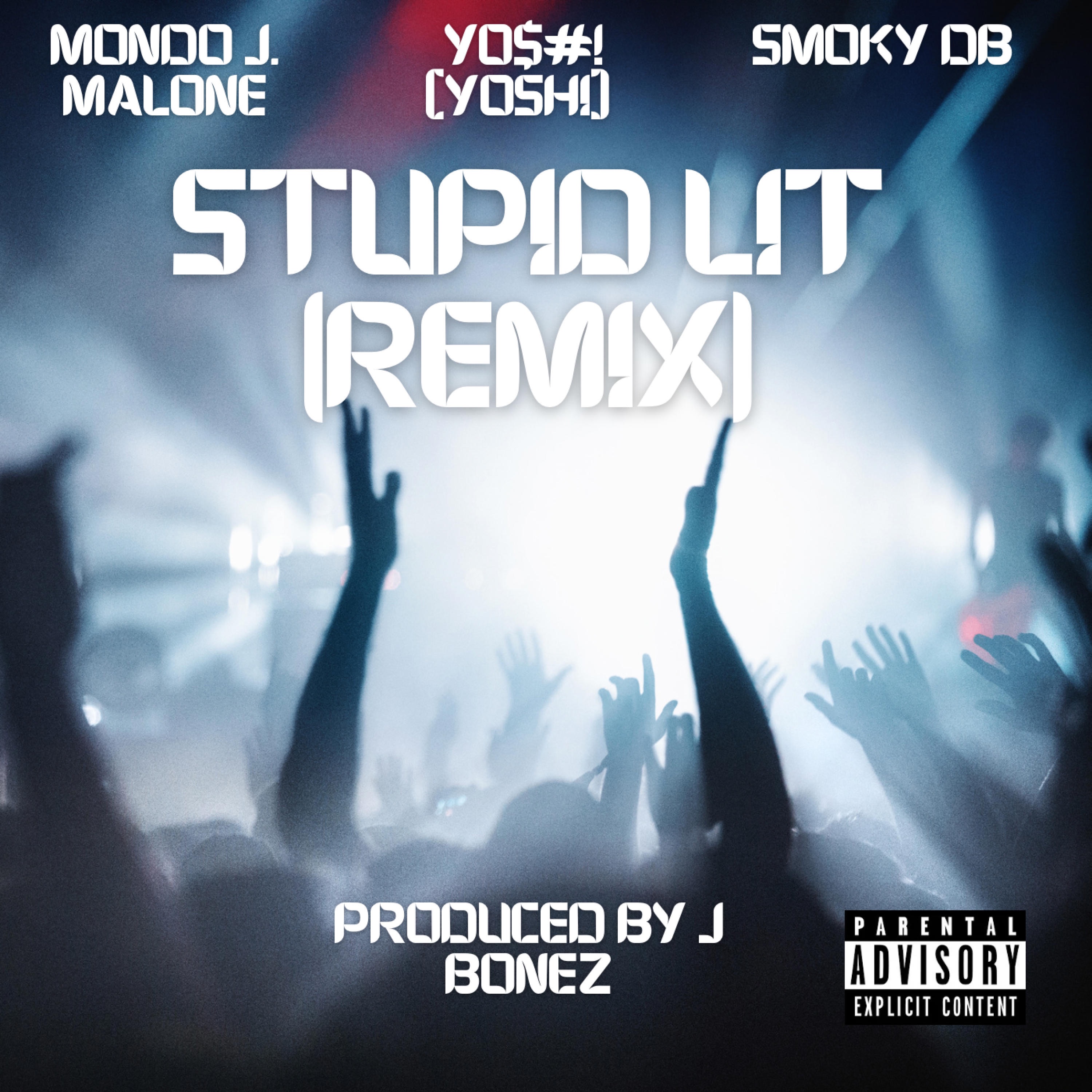 Stupid Lit (Remix) (feat. Y0$#! (Yoshi) & SmokyDB) - Single