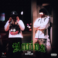 Amina - Single - TRK. & døpelym