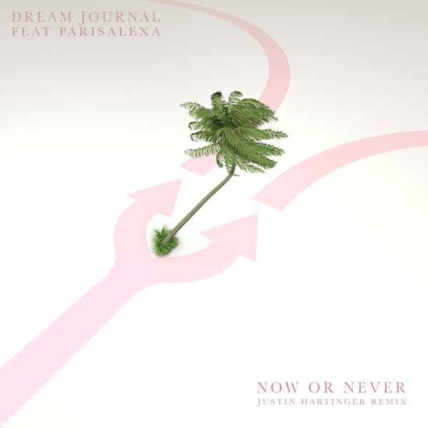 Now or Never (feat. ParisAlexa) [Justin Hartinger Remix] - Single