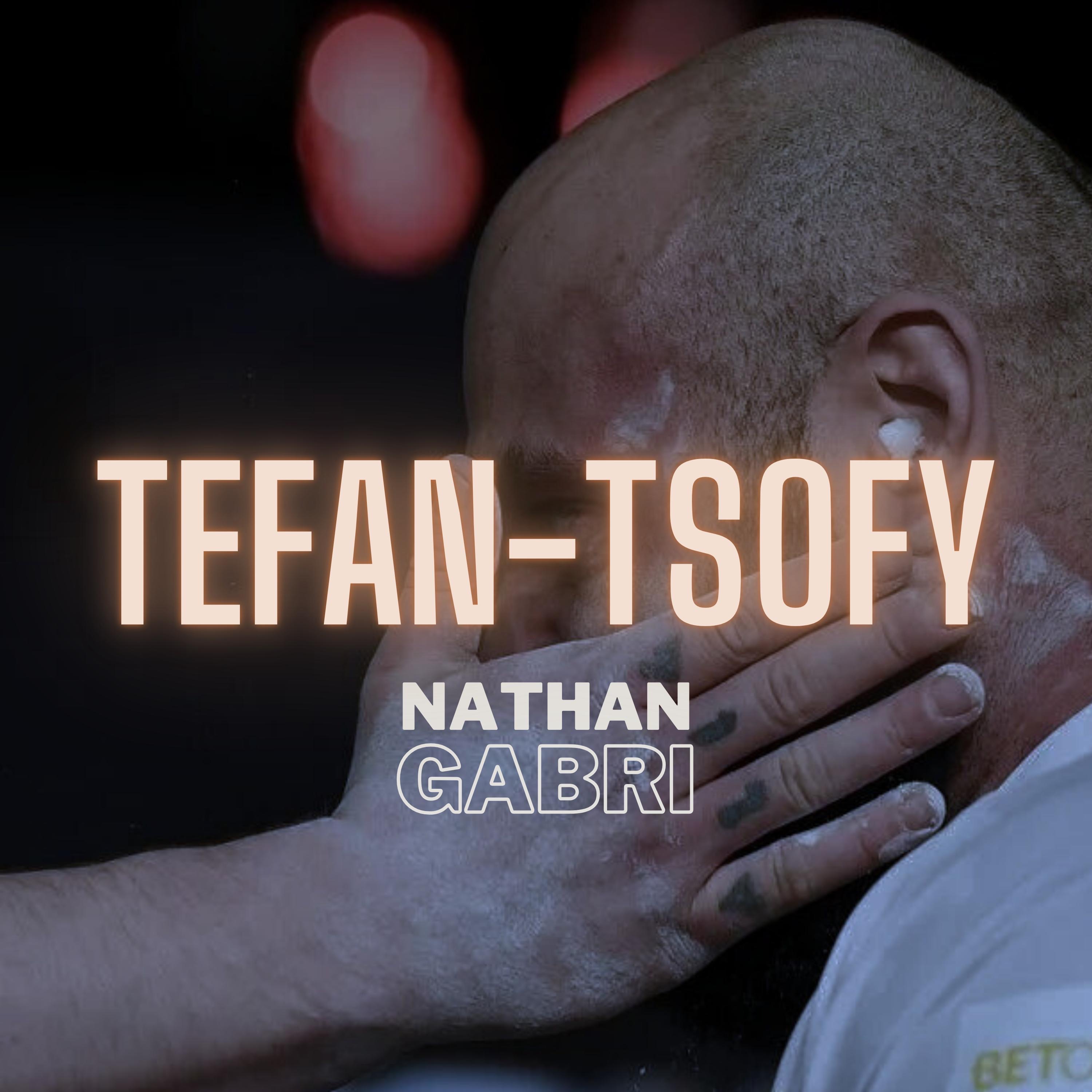 NATHAN GABRI - Tefan-tsofy