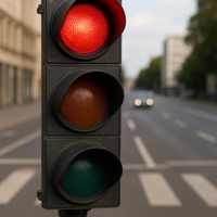 GO WAIT IN LIGHT - Single - W1kcollector