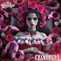 Prohibida - Single - The Seler