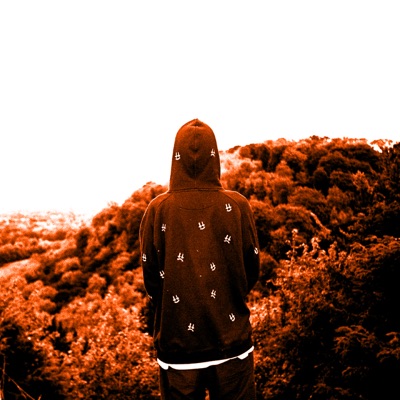 THE MORE I THINK ABOUT IT, THE LESS I CARE (feat. Sly Moon) - Single