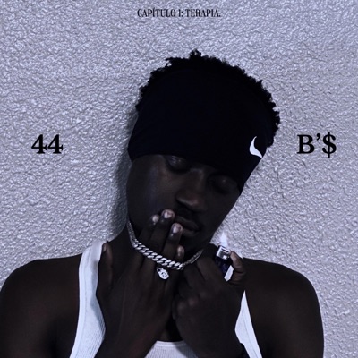 44B'$: Terapia I - Single