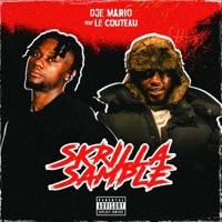 SKRILLA SAMPLE (feat. Dje mario) - Single - Le couteau
