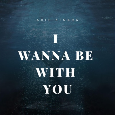 I Wanna Be With You (feat. Ari Riyanto) - Single