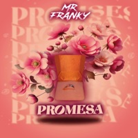 Promesa - Single - Mr Franky