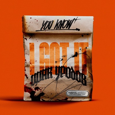 You Know I Got It - Single