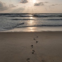 HUELLA - Single - N8EEN