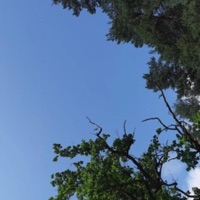 SAVE LIVE SET - Single - Rowan H. & carterax