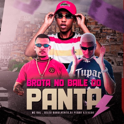 Brota no Baile do Panta - Single