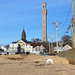 Wake Up! In Provincetown Theme Song - Single