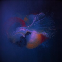 SINGULARITY (feat. RICKY) - Single - davert