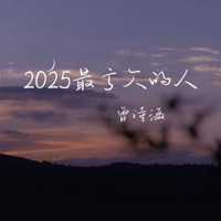 2025最亏欠的人 (Dj德朋版) - Single - 曾诗涵
