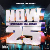 Now That's What I Call Crank! 25 - Sparkheem & An1